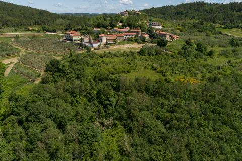 Casa Krasica, Buje, 147,70m2