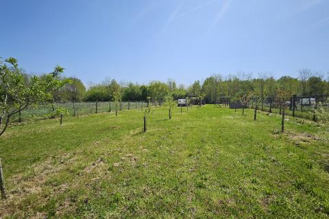 Земельный участок нестроительного назначения Umag, 1.400m2