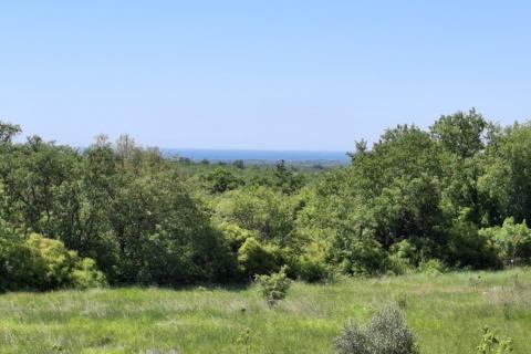 Building plot Ka&scaron;tel, Buje, 1.283m2