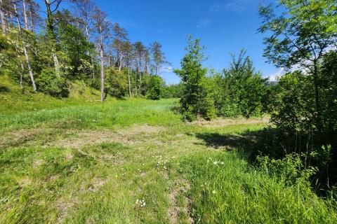 Istra, Buzet - zemlji&scaron;te za prenamjenu, PRILIKA