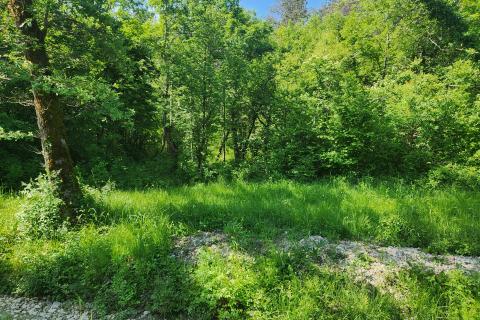 Bauland Buzet, 33.173m2