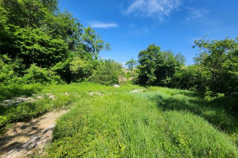 Bauland Buzet, 33.173m2