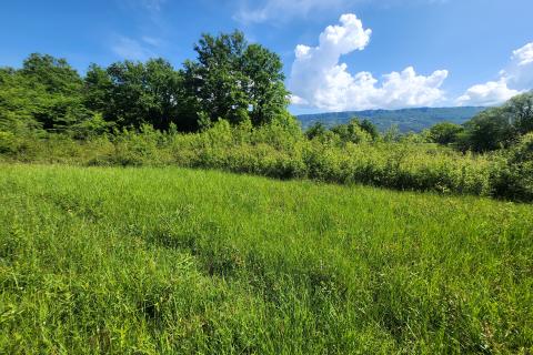 Bauland Buzet, 33.173m2