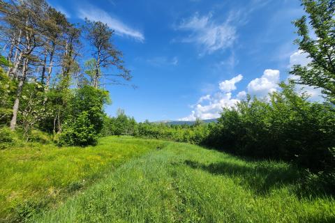 Bauland Buzet, 33.173m2