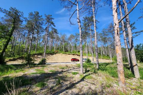 Bauland Buzet, 33.173m2