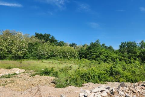 Nicht-strukturelle Land Buzet, 15.029m2