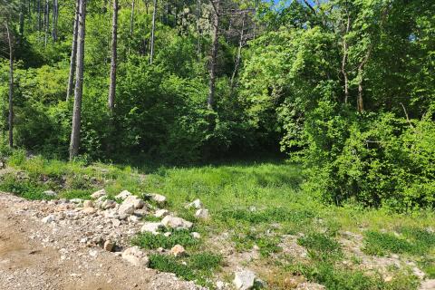 Nicht-strukturelle Land Buzet, 15.029m2
