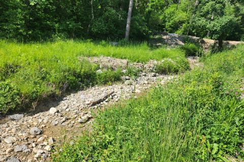 Nicht-strukturelle Land Buzet, 15.029m2