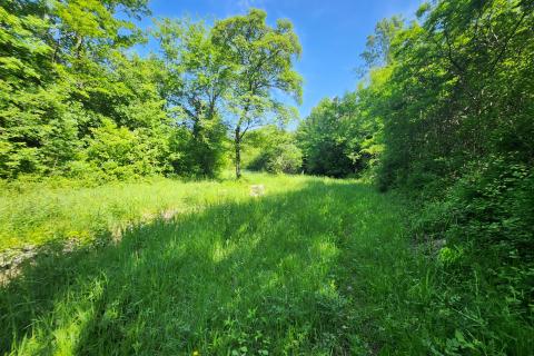 Nicht-strukturelle Land Buzet, 15.029m2