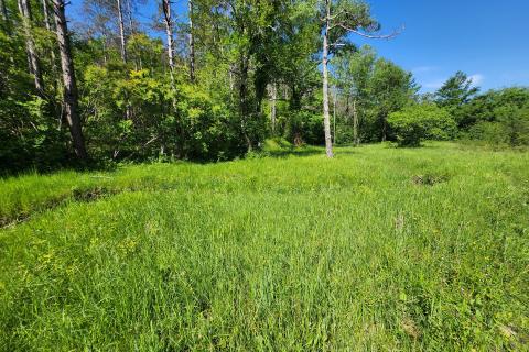 Nicht-strukturelle Land Buzet, 15.029m2