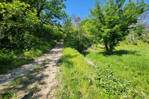 Nicht-strukturelle Land Buzet, 15.029m2