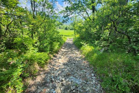 Nicht-strukturelle Land Buzet, 15.029m2