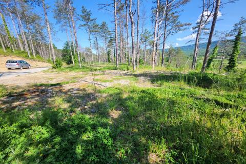 Nicht-strukturelle Land Buzet, 18.144m2