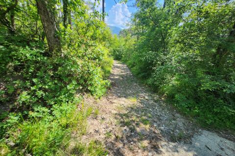 Nicht-strukturelle Land Buzet, 18.144m2