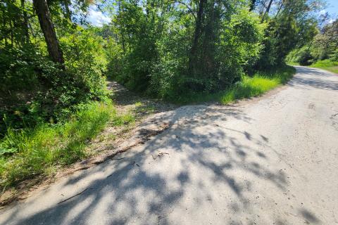 Nicht-strukturelle Land Buzet, 18.144m2