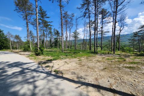 Nicht-strukturelle Land Buzet, 18.144m2