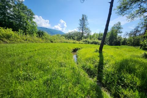 Nicht-strukturelle Land Buzet, 18.144m2