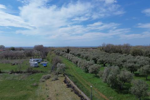 Istra, Brtonigla - Građevinsko zemlji&scaron;te za gradnju kuće