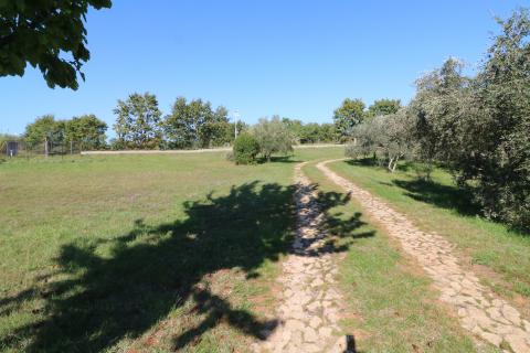 Istra, Brtonigla - Građevinsko zemlji&scaron;te za gradnju kuće