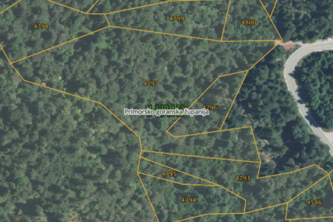 Non-structural plot Hrib, Čabar, 23.946m2