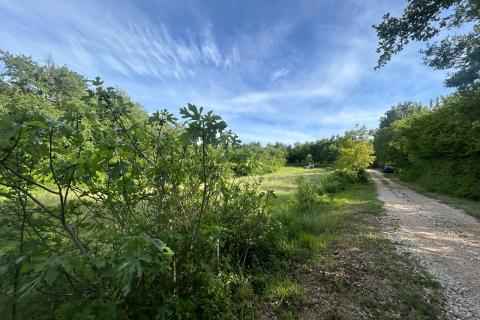 Istra, Baderna, lijepo poljoprivredno zemlji&scaron;te 
