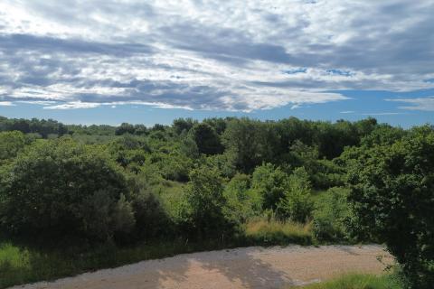Istra, Tar - Građevinsko zemlji&scaron;te za izgradnju vi&scaron;e stambenih jedinica