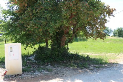 Poreč, okolica- građevinsko zemlji&scaron;te 