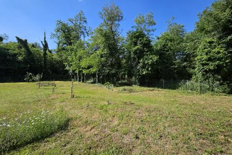 Istra, Umag okolica- vikend parcela s dodatnim sadržajima