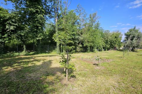 Istra, Umag okolica- vikend parcela s dodatnim sadržajima