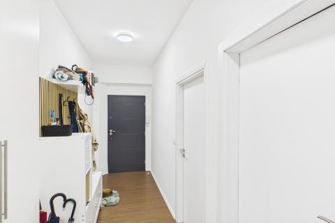 Rijeka, Centar, Luksuzno adaptiran stan, 65m2