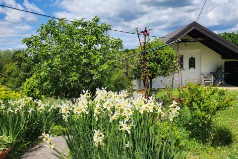 Velika Gorica, Kozjača , 94 m2 sa velikom okućnicom