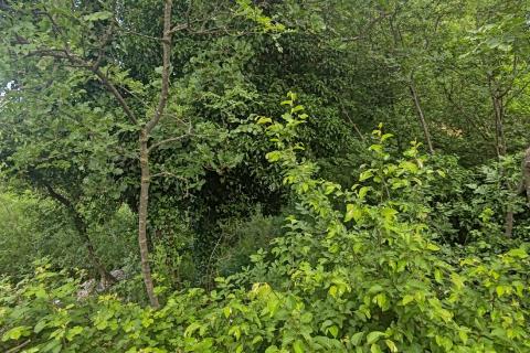 Rijeka, Vi&scaron;kovo - građevinski teren s pogledom