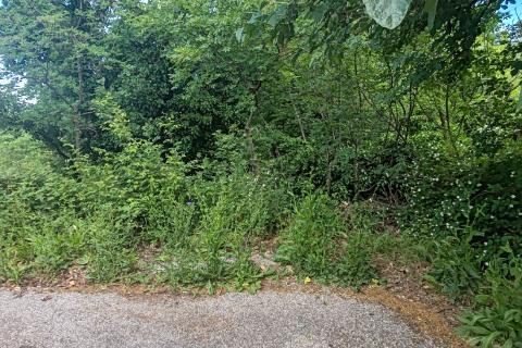 Rijeka, Vi&scaron;kovo - građevinski teren s pogledom
