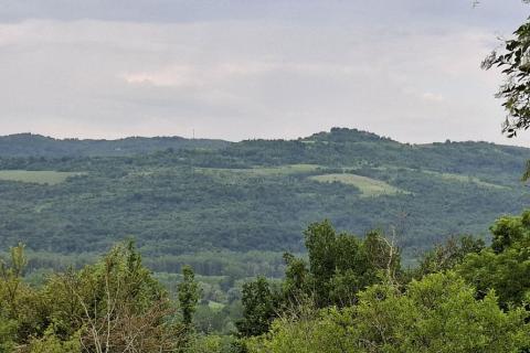 Hi&scaron;a Zavr&scaron;je, Grožnjan, 115m2