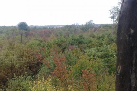 ISTRA, MARČANA - Povoljno poljoprivredno zemlji&scaron;te 1,8 ha
