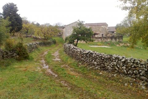 ISTRA, MARČANA - Povoljno poljoprivredno zemlji&scaron;te 1,8 ha