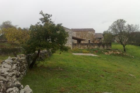 ISTRA, MARČANA - Povoljno poljoprivredno zemlji&scaron;te 1,8 ha