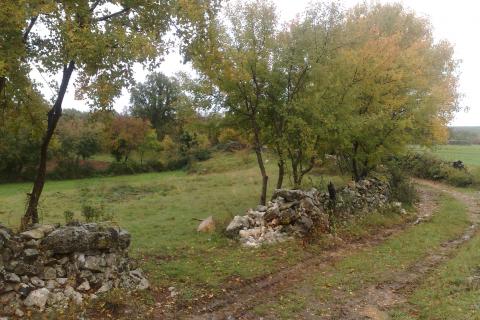 ISTRA, MARČANA - Povoljno poljoprivredno zemlji&scaron;te 1,8 ha