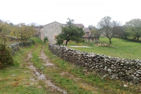 ISTRA, MARČANA - Povoljno poljoprivredno zemlji&scaron;te 1,8 ha