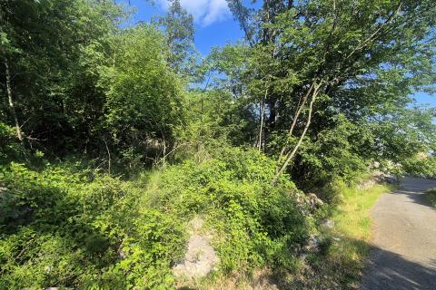 Stavbno zemlji&scaron;če Vi&scaron;kovo, 1.718m2