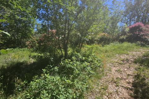 Bouwgrond Ka&scaron;tel, Buje, 800m2