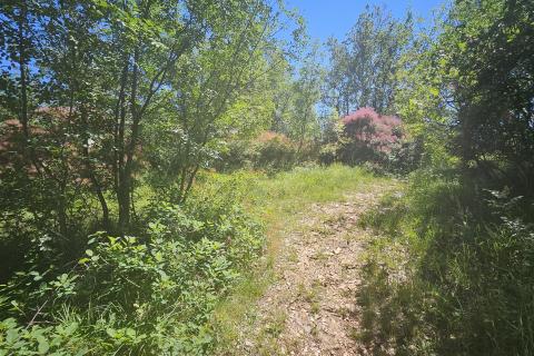 Bouwgrond Ka&scaron;tel, Buje, 800m2