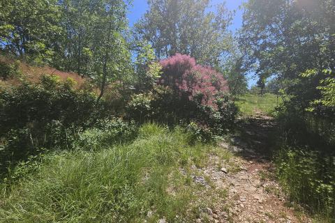 Bouwgrond Ka&scaron;tel, Buje, 800m2
