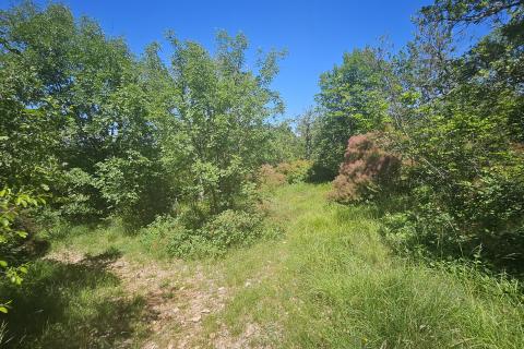 Bouwgrond Ka&scaron;tel, Buje, 800m2
