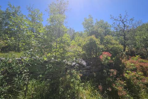 Bouwgrond Ka&scaron;tel, Buje, 800m2