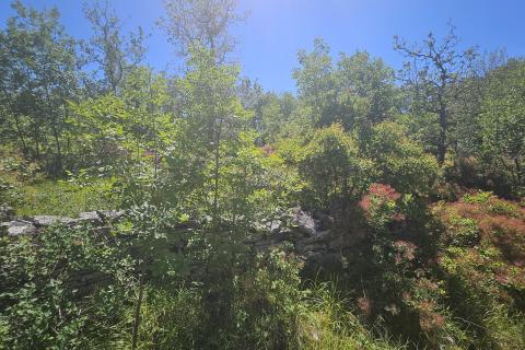 Bouwgrond Ka&scaron;tel, Buje, 800m2