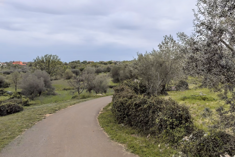 ISTRA, PERU&Scaron;KI - Poljoprivredna zemlji&scaron;ta 22.809 m2