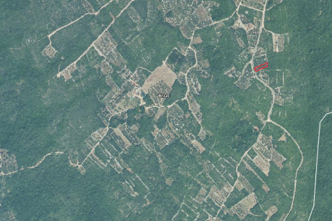 Krk, Brzac - maslnik od 370m2 