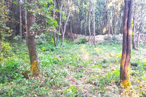 Nicht-strukturelle Land Rovinj, 742m2