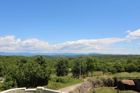 Istra, Vižinada, okolica renovirana autohtona kuća s bazenom